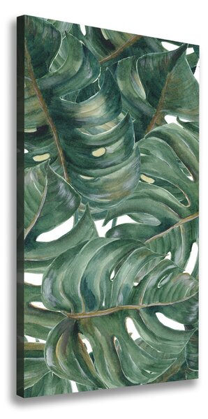 Tablou canvas Monstera