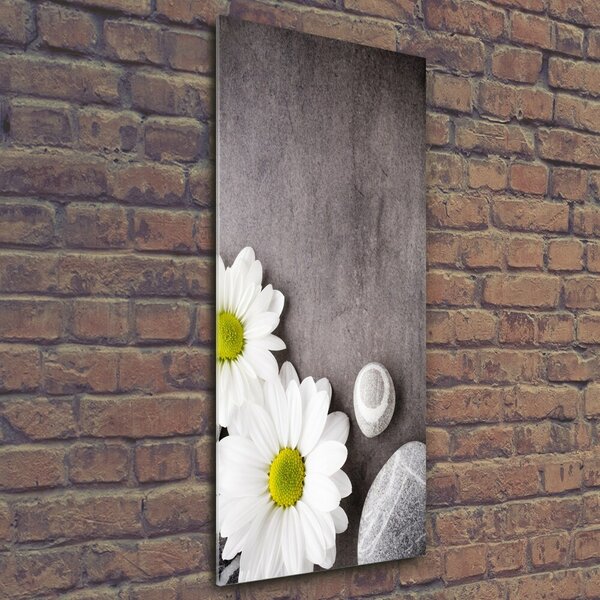 Tablou din Sticlă gerbera