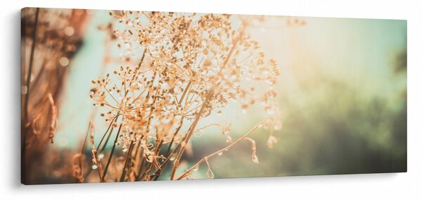 Tablou - Plante de luncă (120x50 cm)