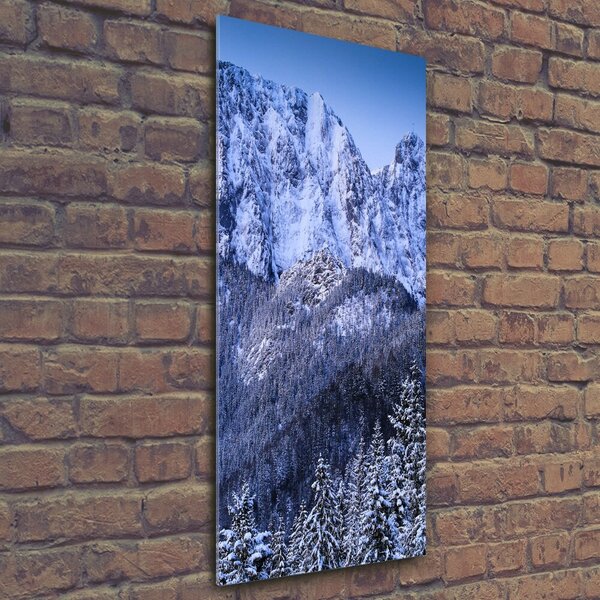 Tablou Printat Pe Sticlă Tatra Munții Giewont