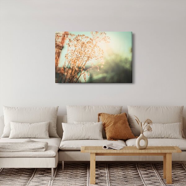 Tablou - Plante de luncă (90x60 cm)