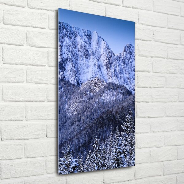 Tablou Printat Pe Sticlă Tatra Munții Giewont