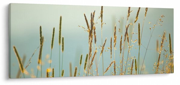 Tablou - Luncă (120x50 cm)