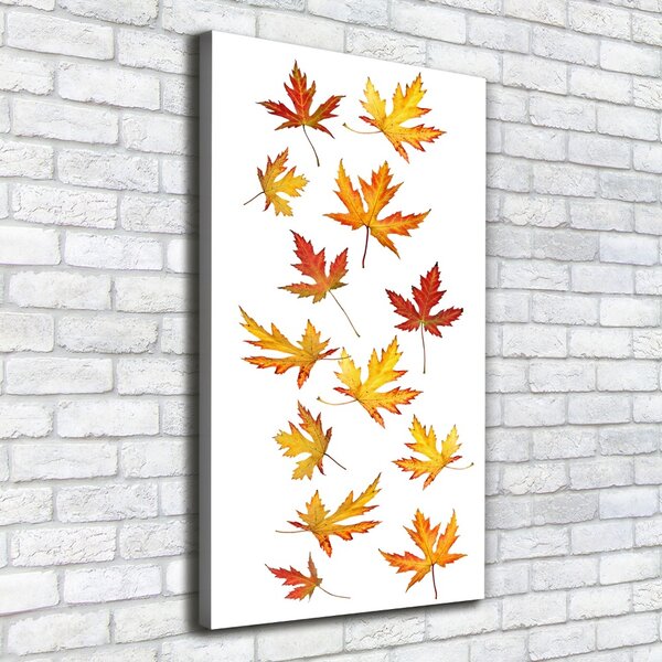 Tablou canvas Frunze de toamna
