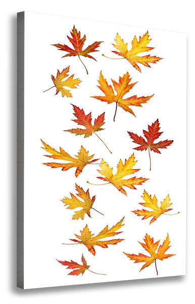 Tablou canvas Frunze de toamna