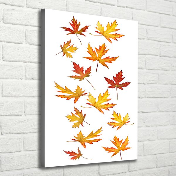 Tablou canvas Frunze de toamna