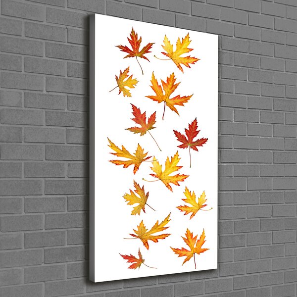 Tablou canvas Frunze de toamna