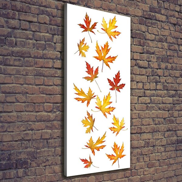 Tablou canvas Frunze de toamna