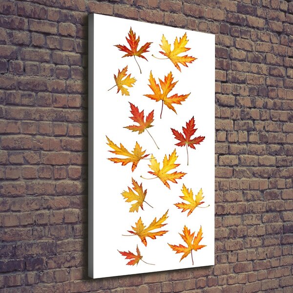 Tablou canvas Frunze de toamna