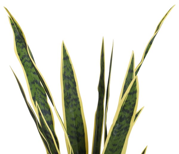 Outsunny Plantă Artificială Limba Soacrei în Ghiveci pentru Decor Interior și Exterior 15x80cm | Aosom Romania