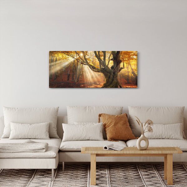 Tablou - Lumina de toamnă (120x50 cm)