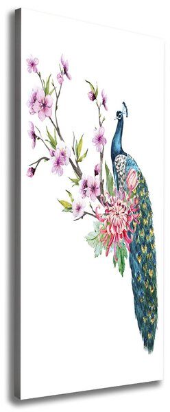 Tablou pe pânză canvas Peacock și flori