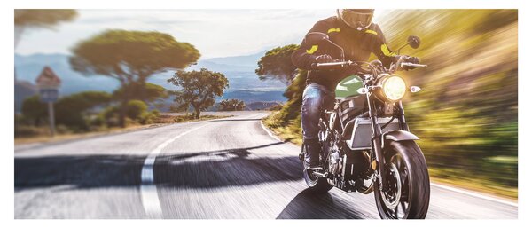 Tablou - Motociclist (120x50 cm)