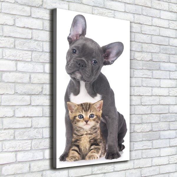 Tablou canvas Câine și pisică
