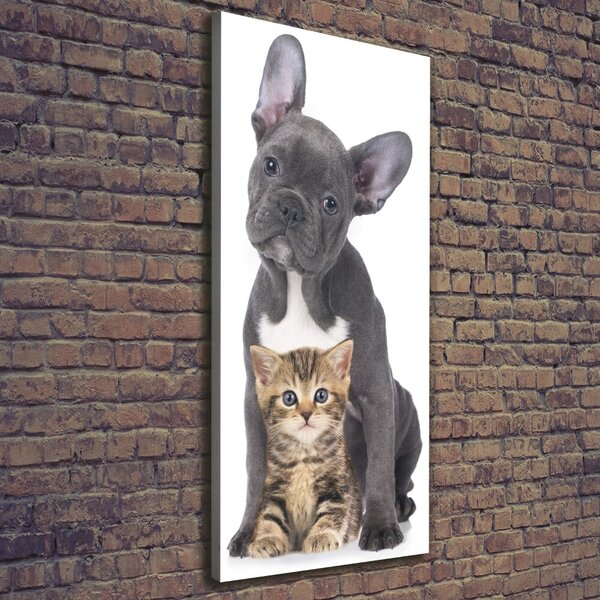 Tablou canvas Câine și pisică