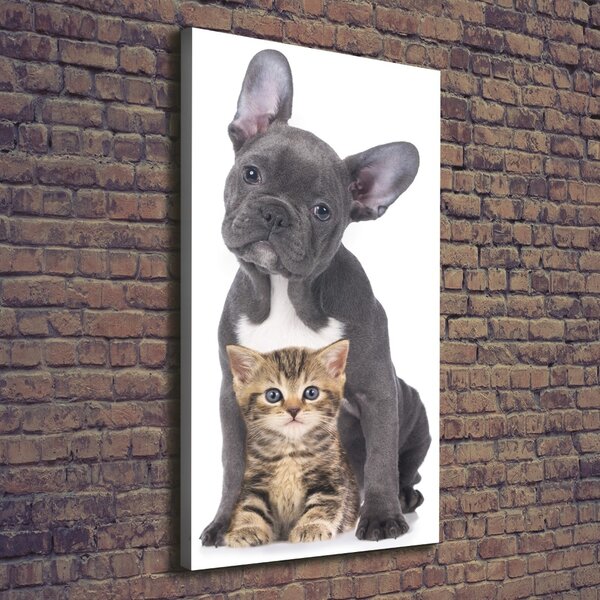 Tablou canvas Câine și pisică