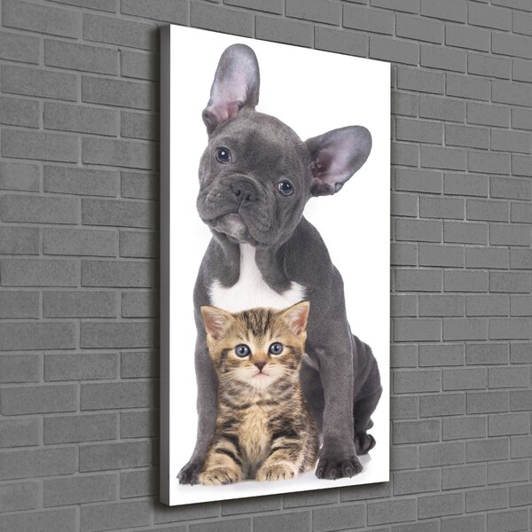 Tablou canvas Câine și pisică