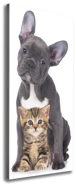 Tablou canvas Câine și pisică
