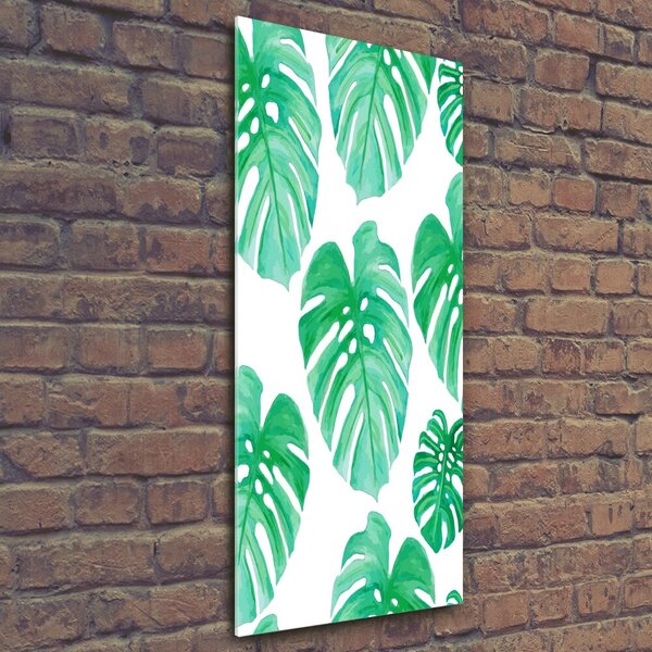 Fotografie imprimată pe sticlă Monstera