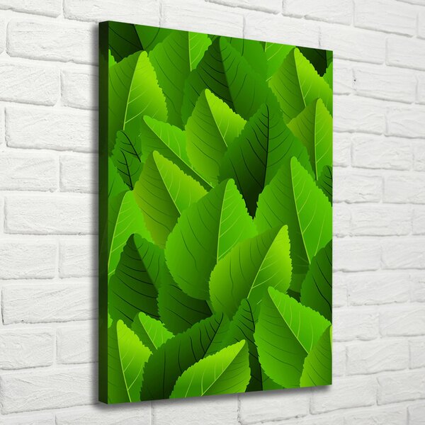 Imprimare tablou canvas Frunze verzi