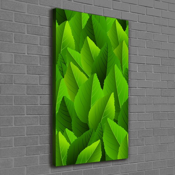 Imprimare tablou canvas Frunze verzi