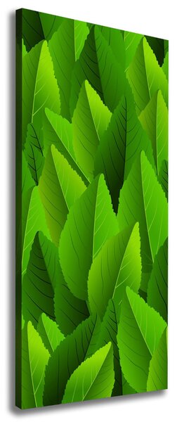 Imprimare tablou canvas Frunze verzi