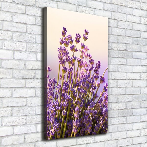 Imprimare tablou canvas Lavandă