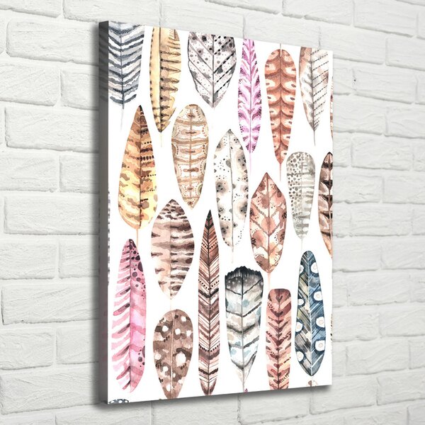 Tablou canvas pene colorate