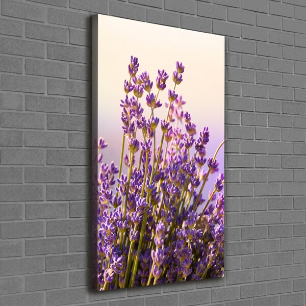 Imprimare tablou canvas Lavandă
