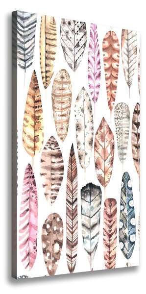 Tablou canvas pene colorate