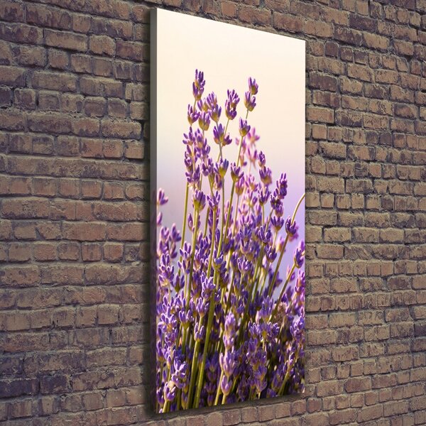 Imprimare tablou canvas Lavandă