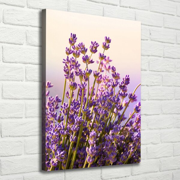 Imprimare tablou canvas Lavandă