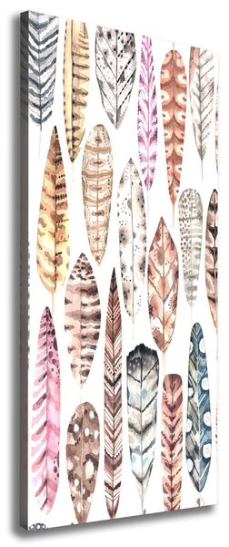 Tablou canvas pene colorate