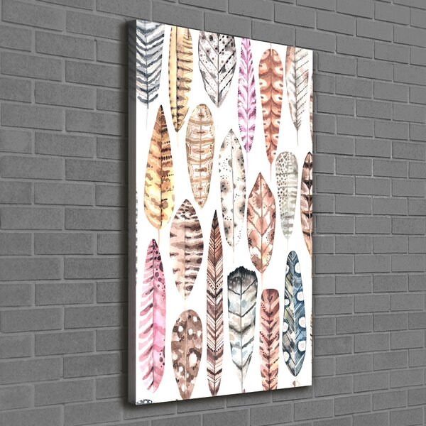 Tablou canvas pene colorate