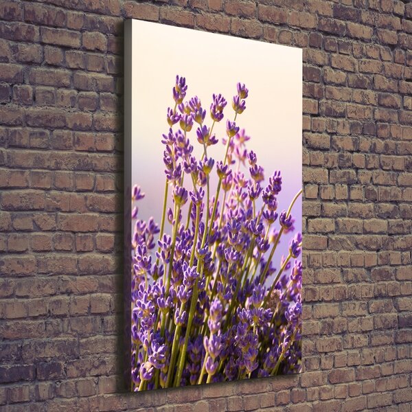 Imprimare tablou canvas Lavandă