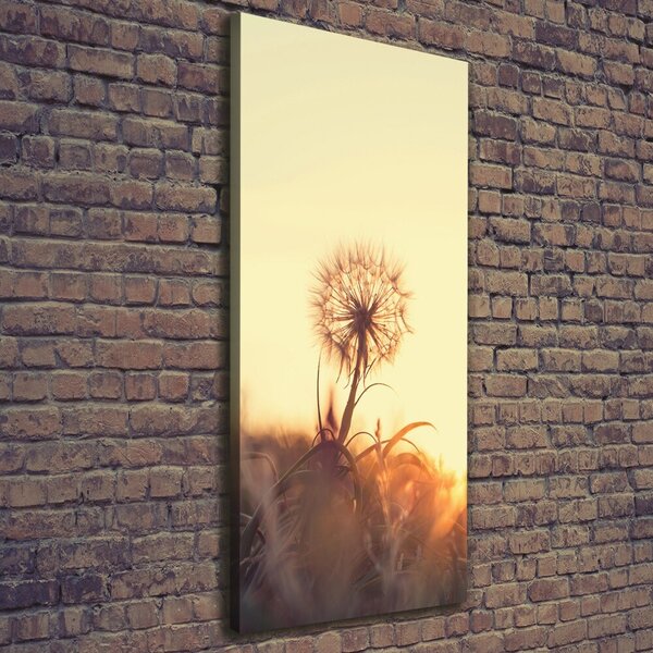 Tablou canvas Păpădie