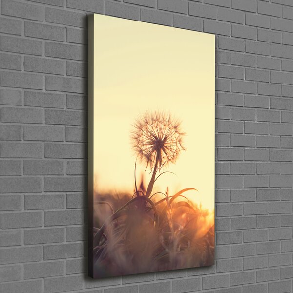 Tablou canvas Păpădie