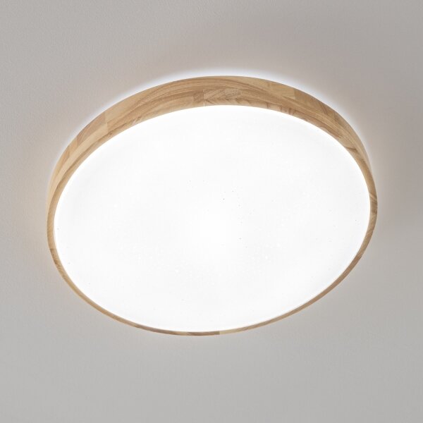 Brilagi - Plafonier LED reglabil PINE LED/24W/230V + telecomandă