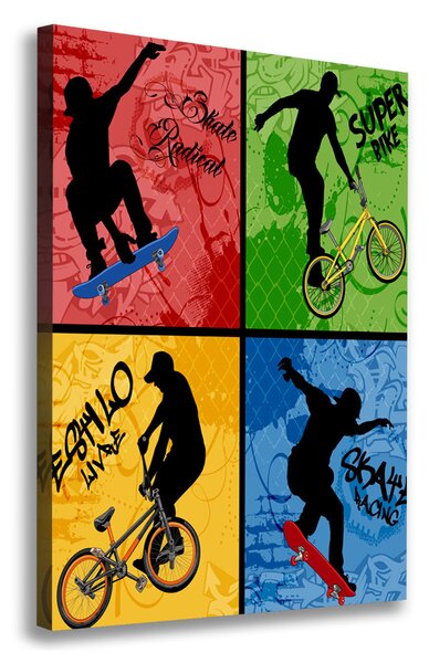 Tablou canvas Biciclete și skateboard