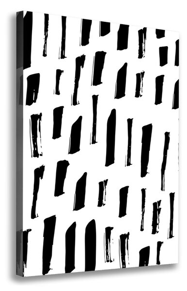 Print pe canvas pata alb-negru