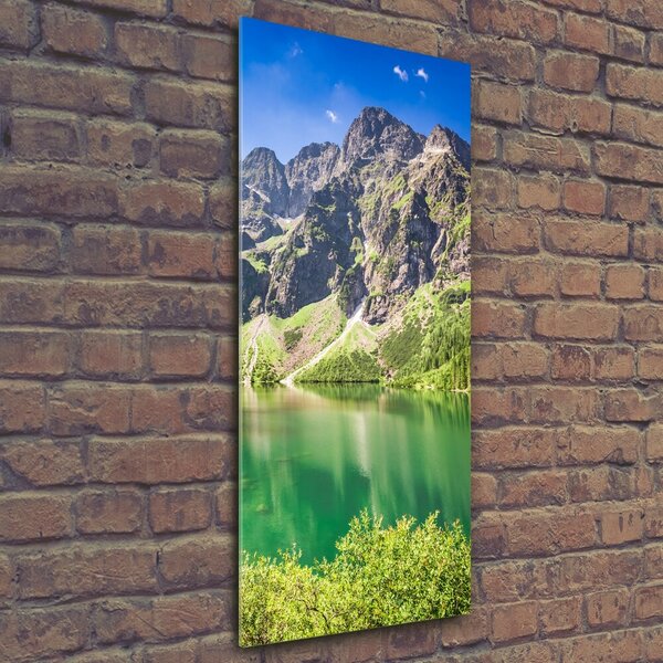 Imagine de sticlă Marine ochi Tatry