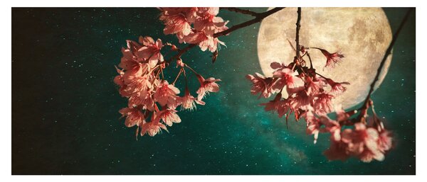 Tablou - Sakura în luna plină (120x50 cm)