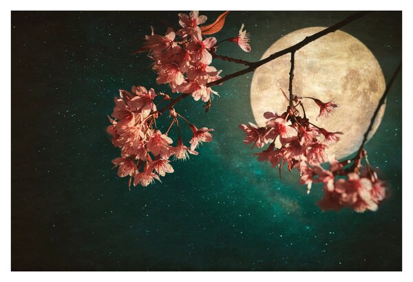 Tablou - Sakura în luna plină (90x60 cm)