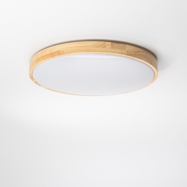 Brilagi - Plafonier LED reglabil PINE LED/24W/230V + telecomandă