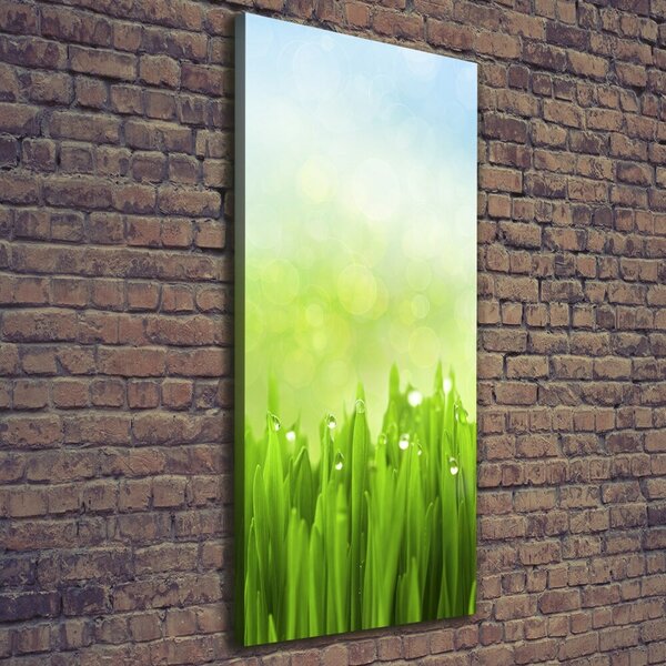 Tablou canvas Iarbă