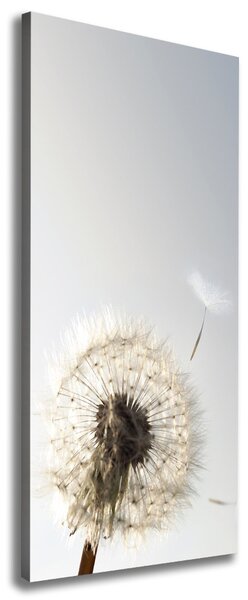 Tablou canvas Păpădie