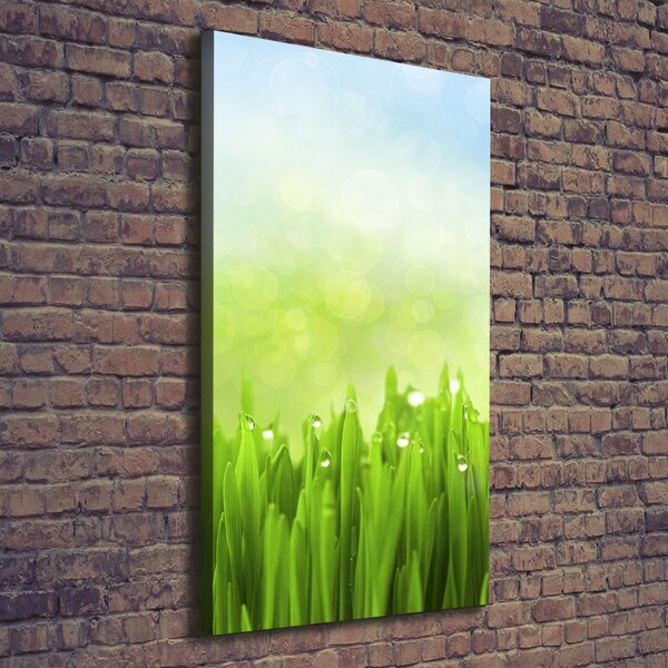 Tablou canvas Iarbă