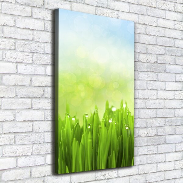 Tablou canvas Iarbă