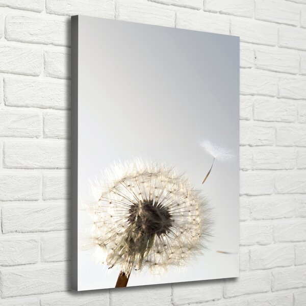 Tablou canvas Păpădie