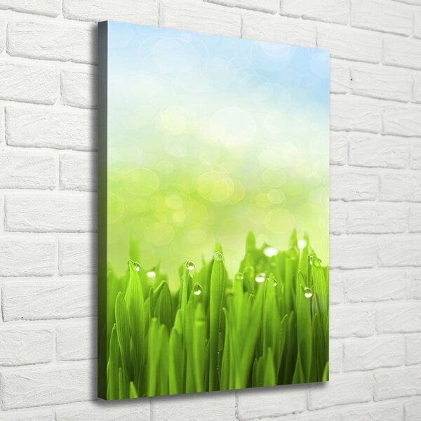 Tablou canvas Iarbă